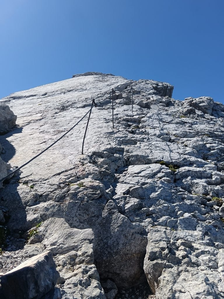 IMG 20260814